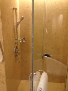 a glass shower with a roll of toilet paper
