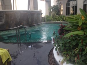 a pool with a waterfall and plants